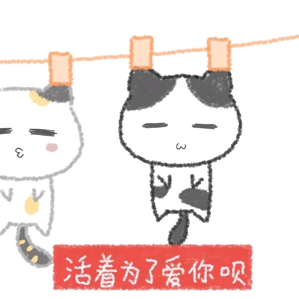 无敌生姜