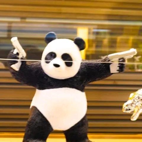 多多少少