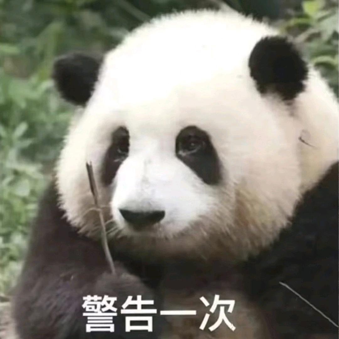 你管我