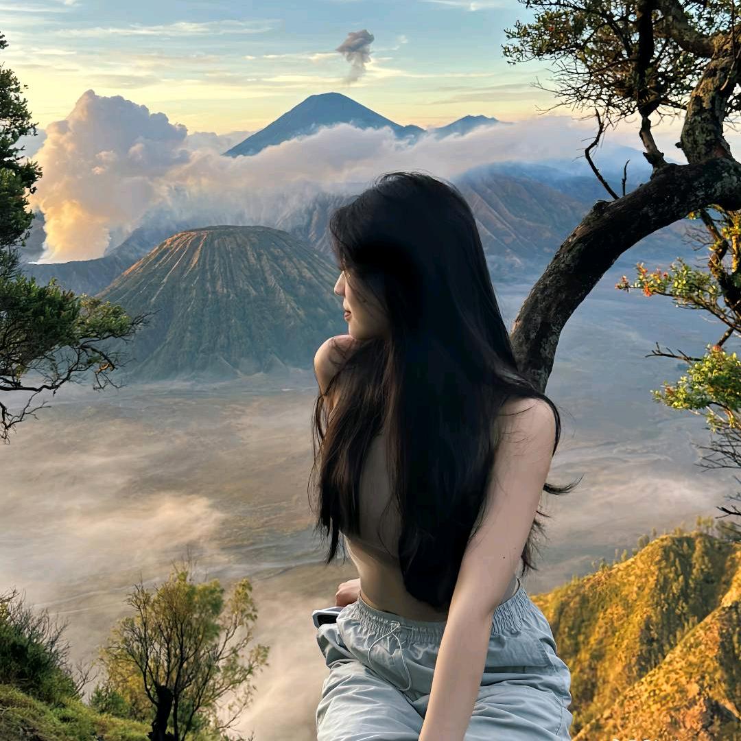 疯狂小老虎的分享