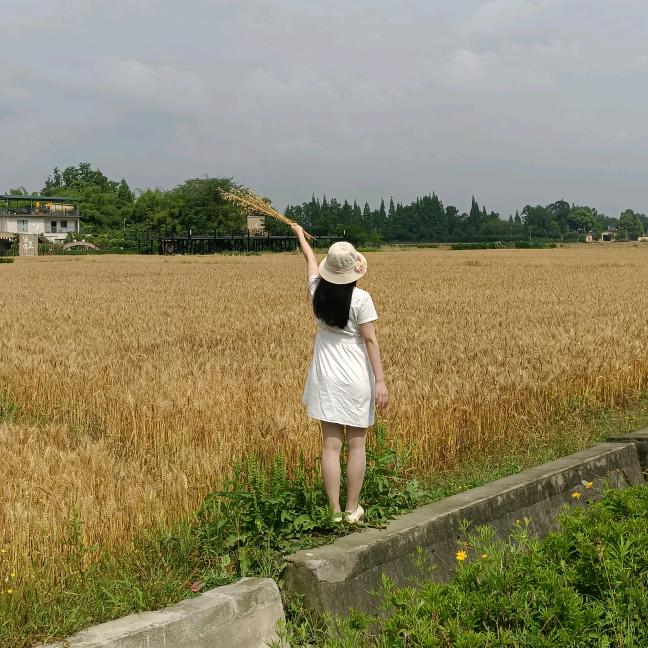 我是琴妹呀