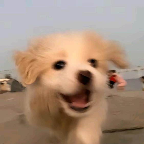 热心市民阿权