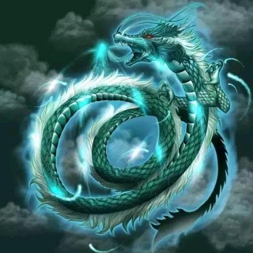 梦幻龙哥