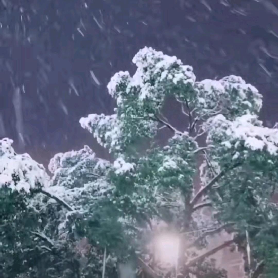 🌨下雪🌨的夜🌨