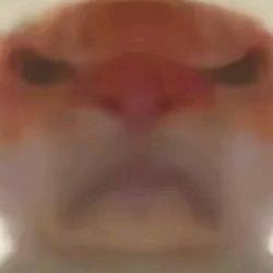 下五境剑修妄想成为大剑仙