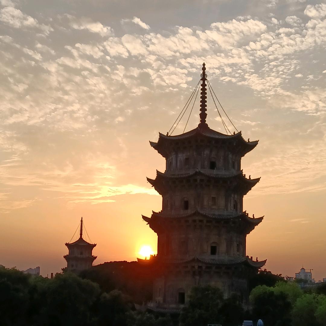 白来叶簪花楼