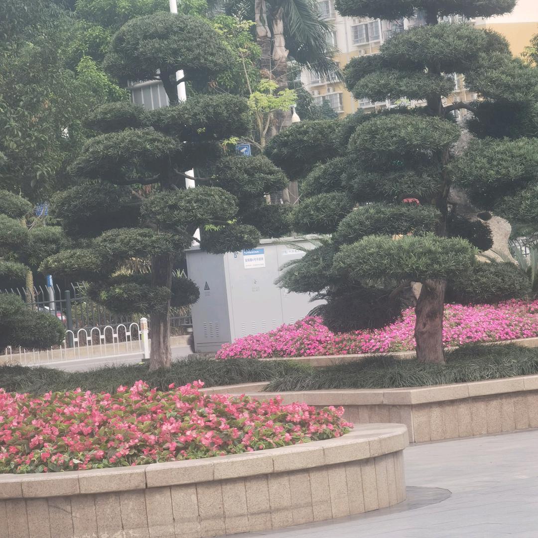 明辩是非