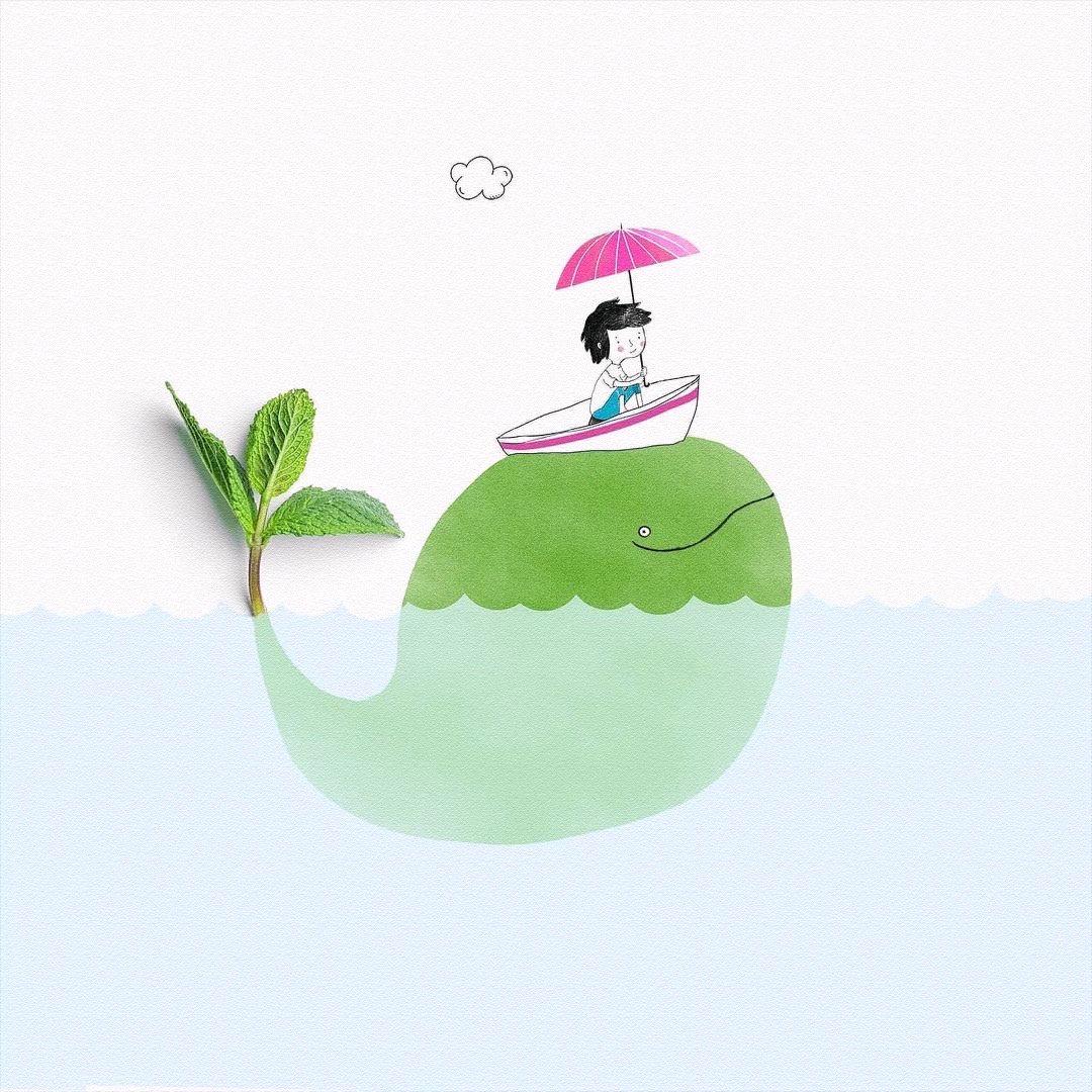 葡萄柚绿江南岸