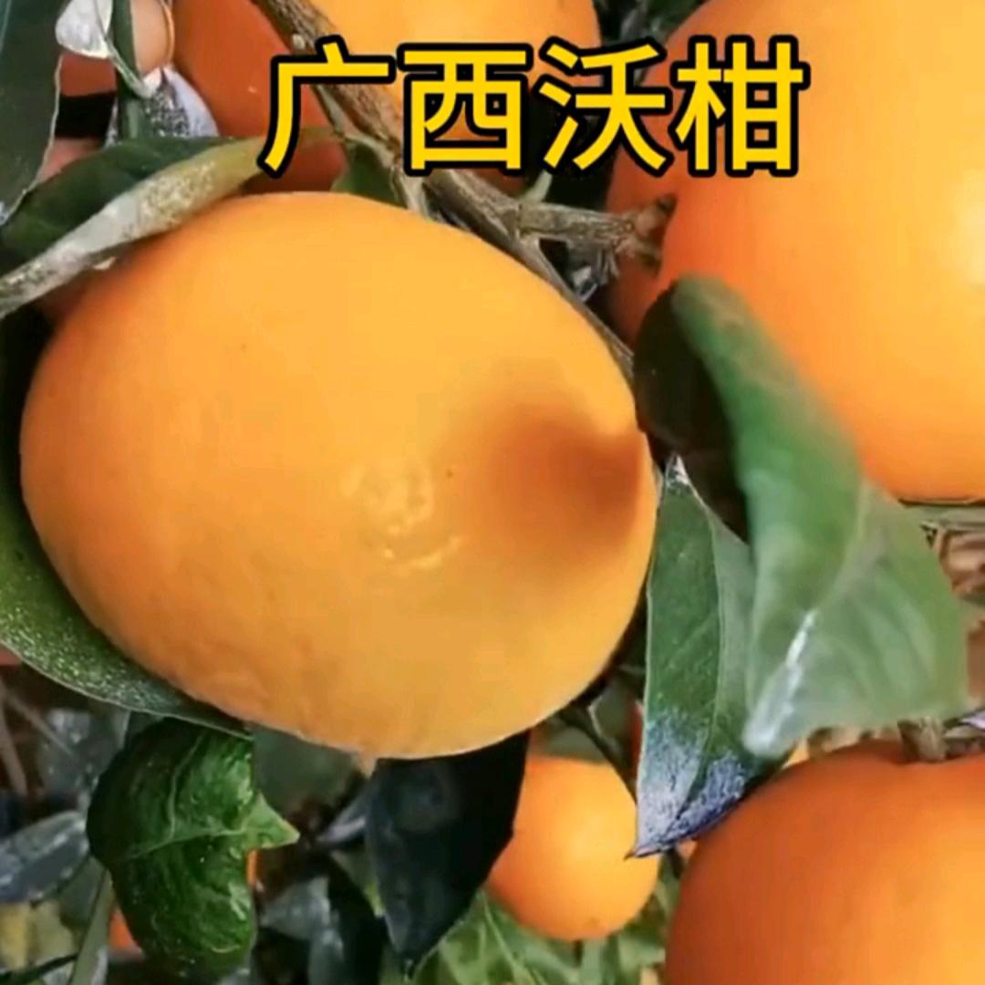 有故事的小伙