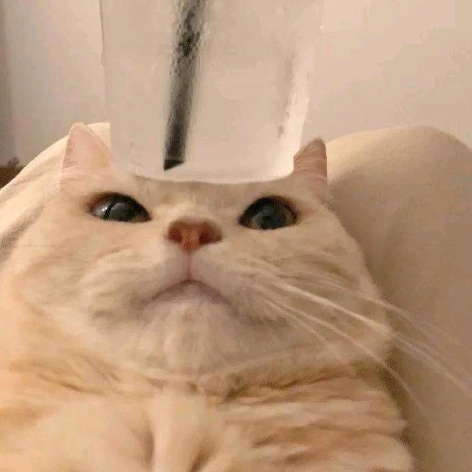 别停留啊