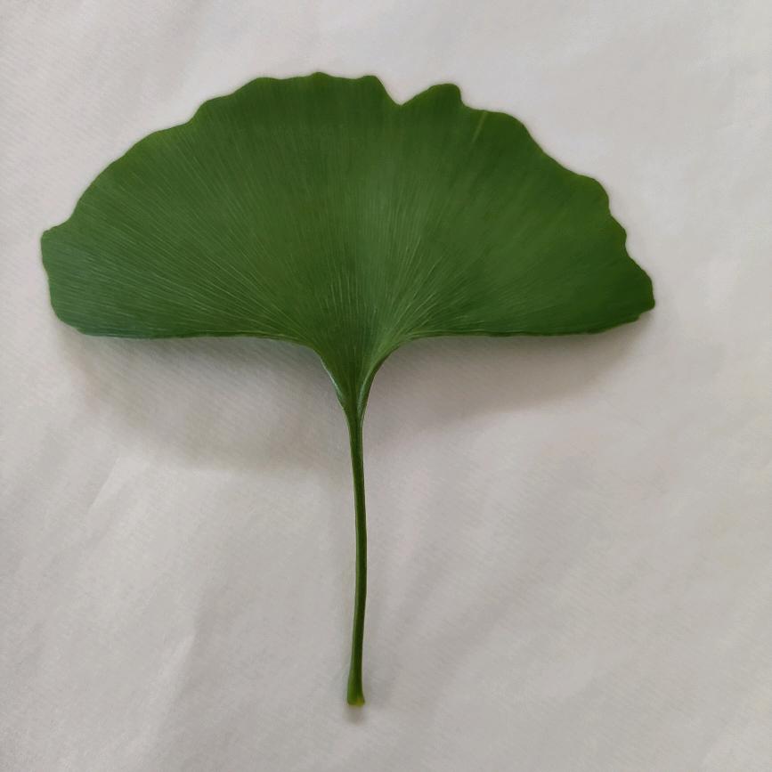 八一