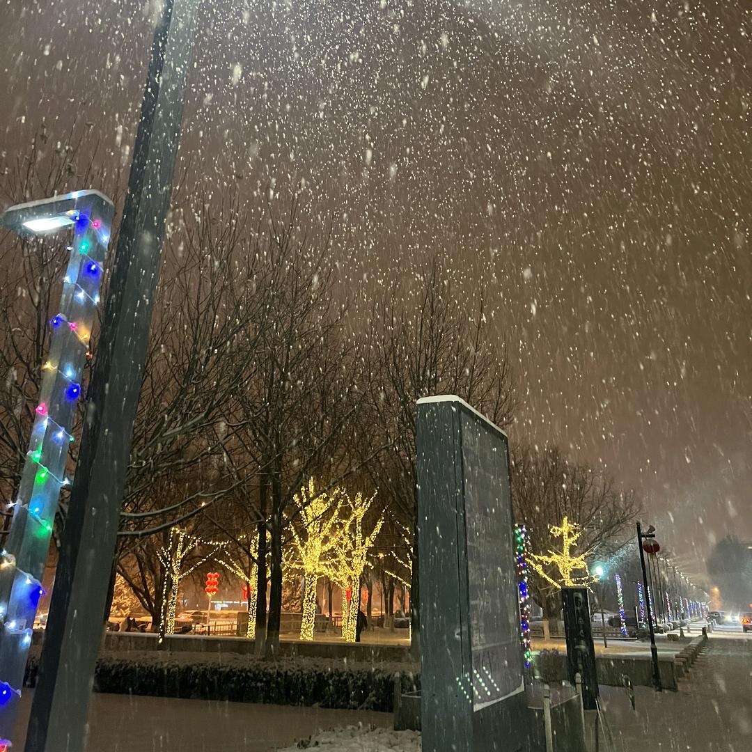 北方有雪
