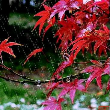🕊এ᭄冰冷꧔ꦿ的心💞࿐ᩚ