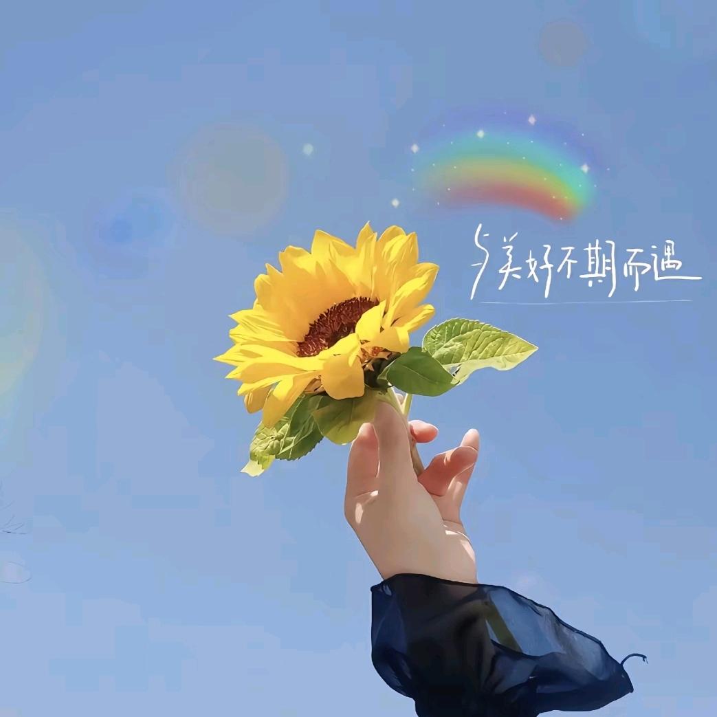 🌻浅🌹🌹