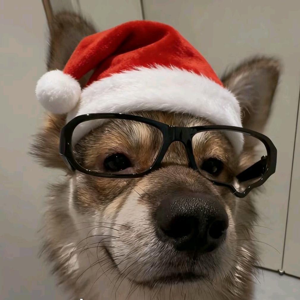 困困不困՞•Ꙫ•՞