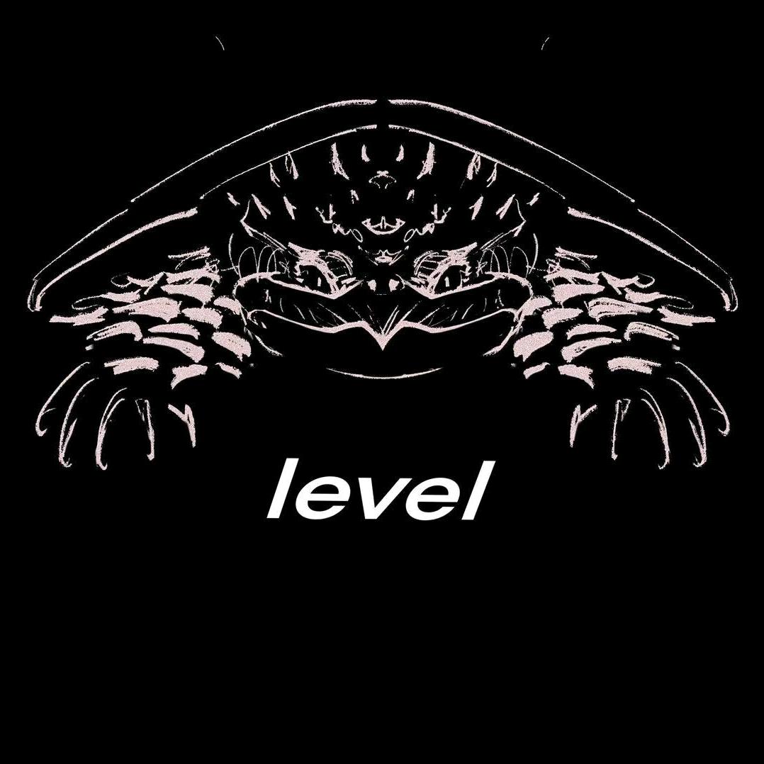 level