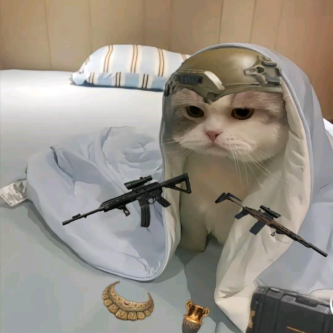 哈基北（三角洲行动）
