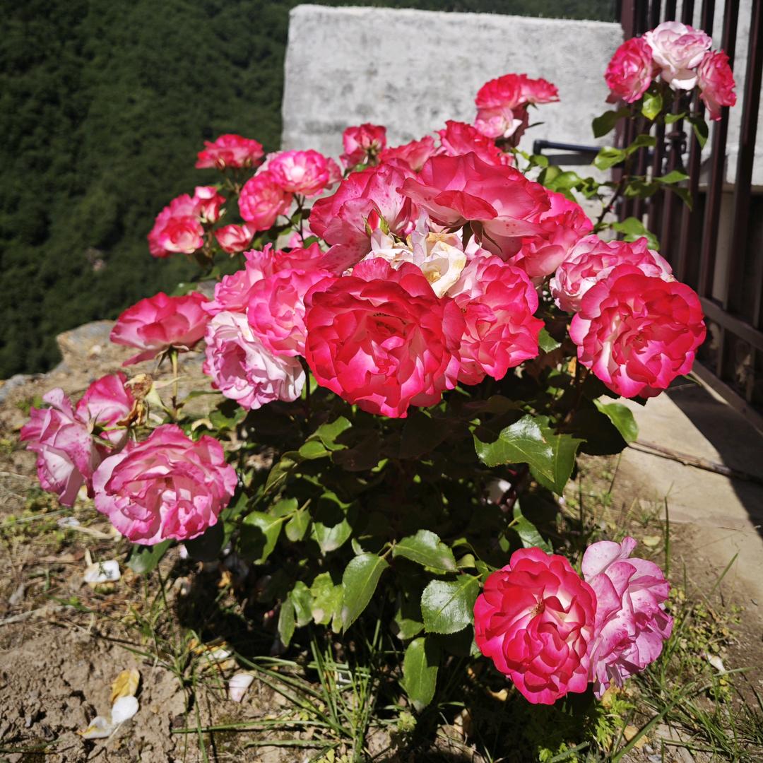 身体能抵达的地方，就不要让眼睛留