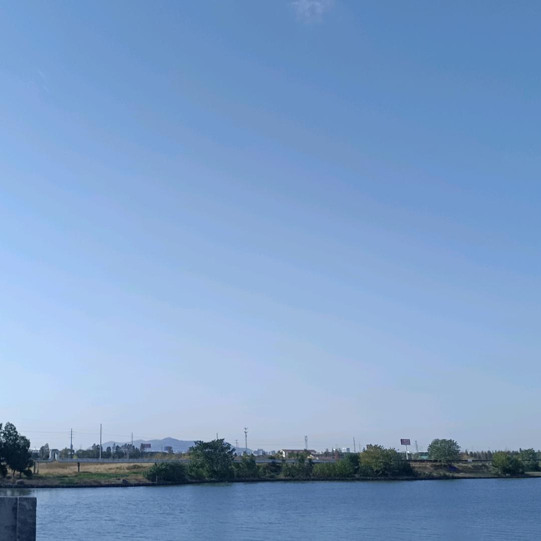榴莲宝贝
