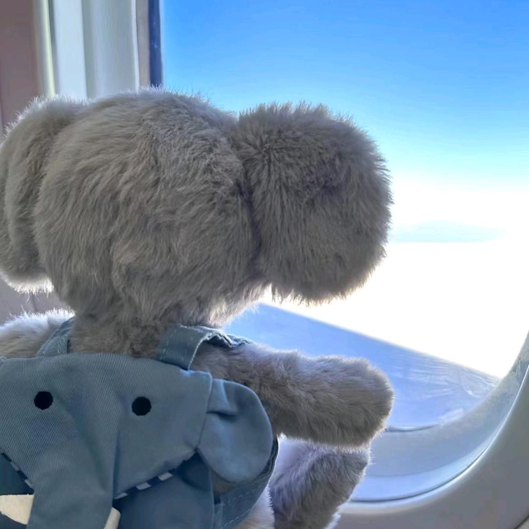 浙江理工大学继教院 周老师