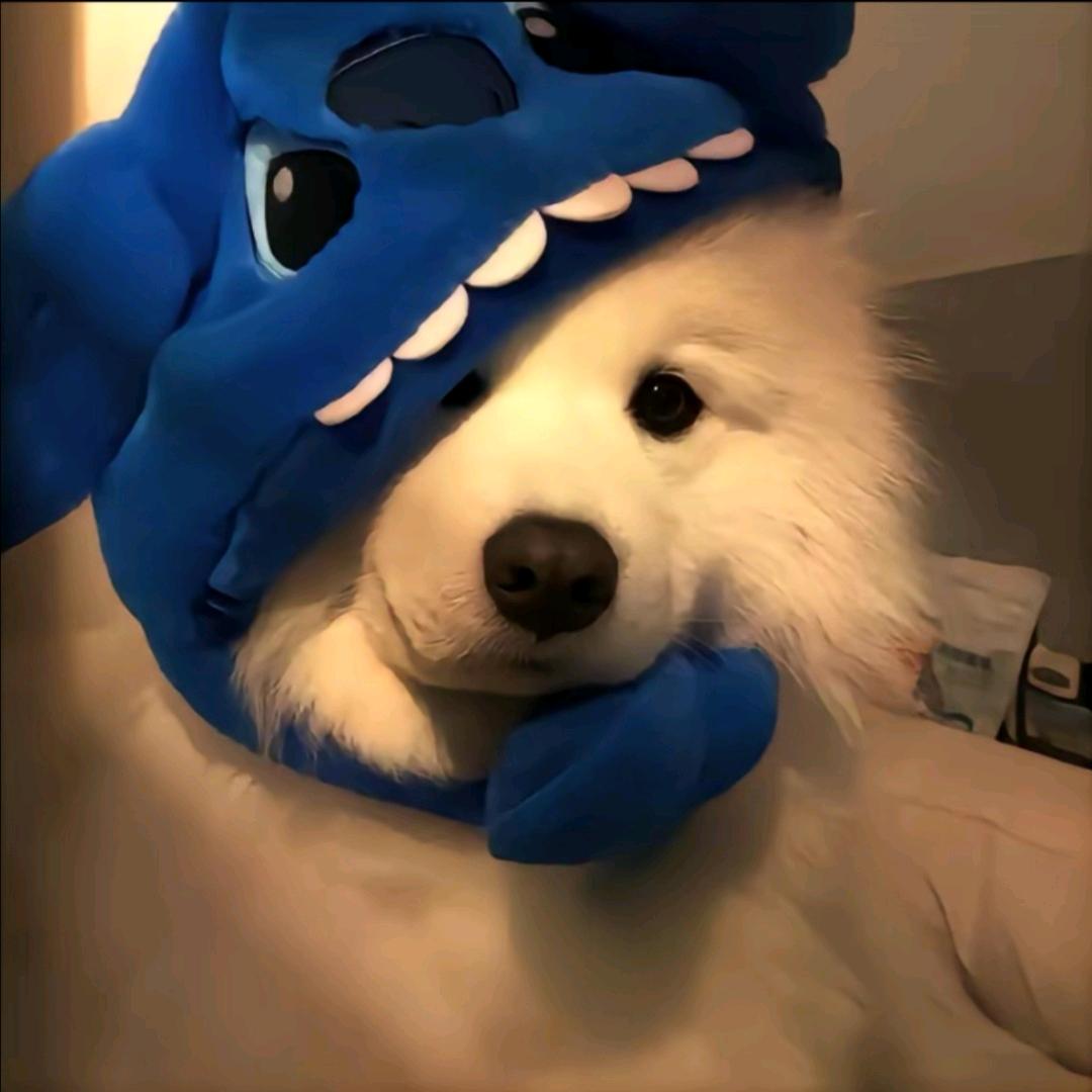 宇宙无敌超级暴龙战士