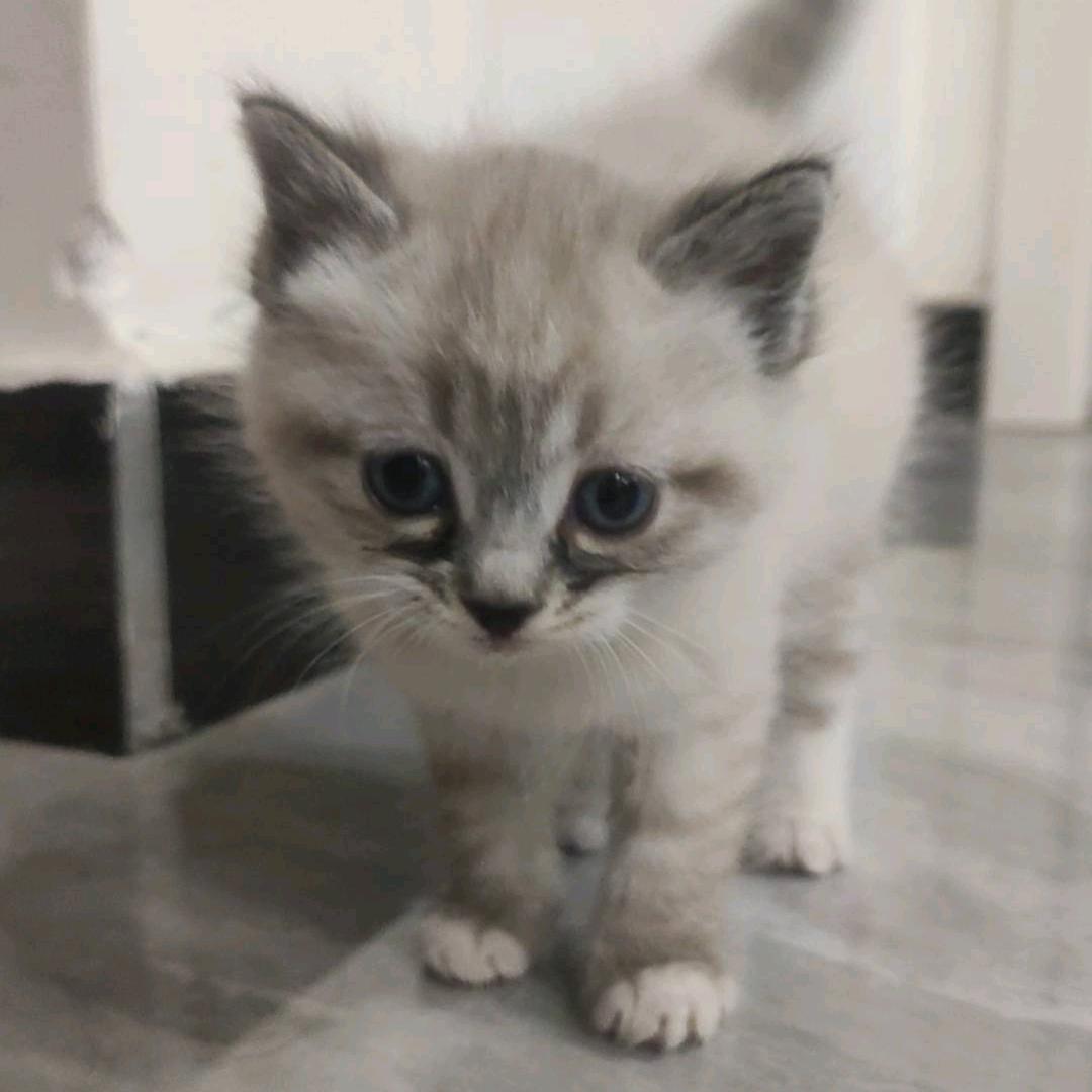 比少多一点