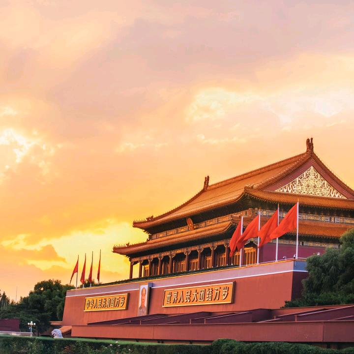 神圣小向