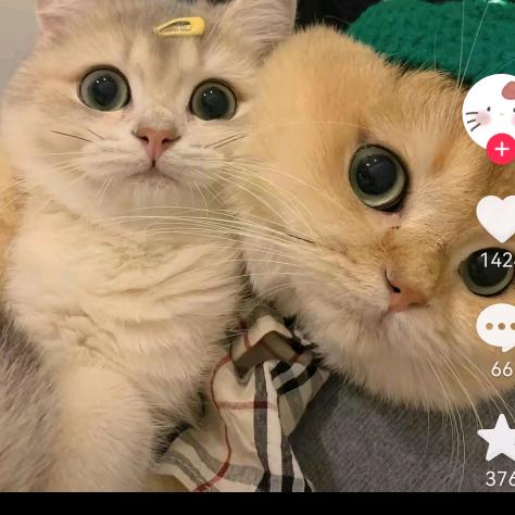 精品丹运动鞋店