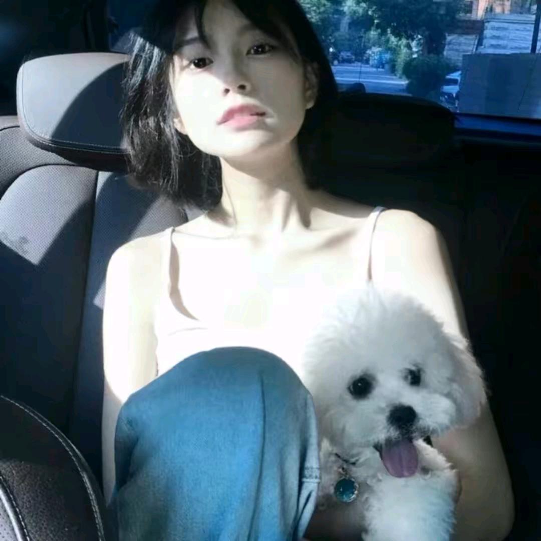 小符在这儿.