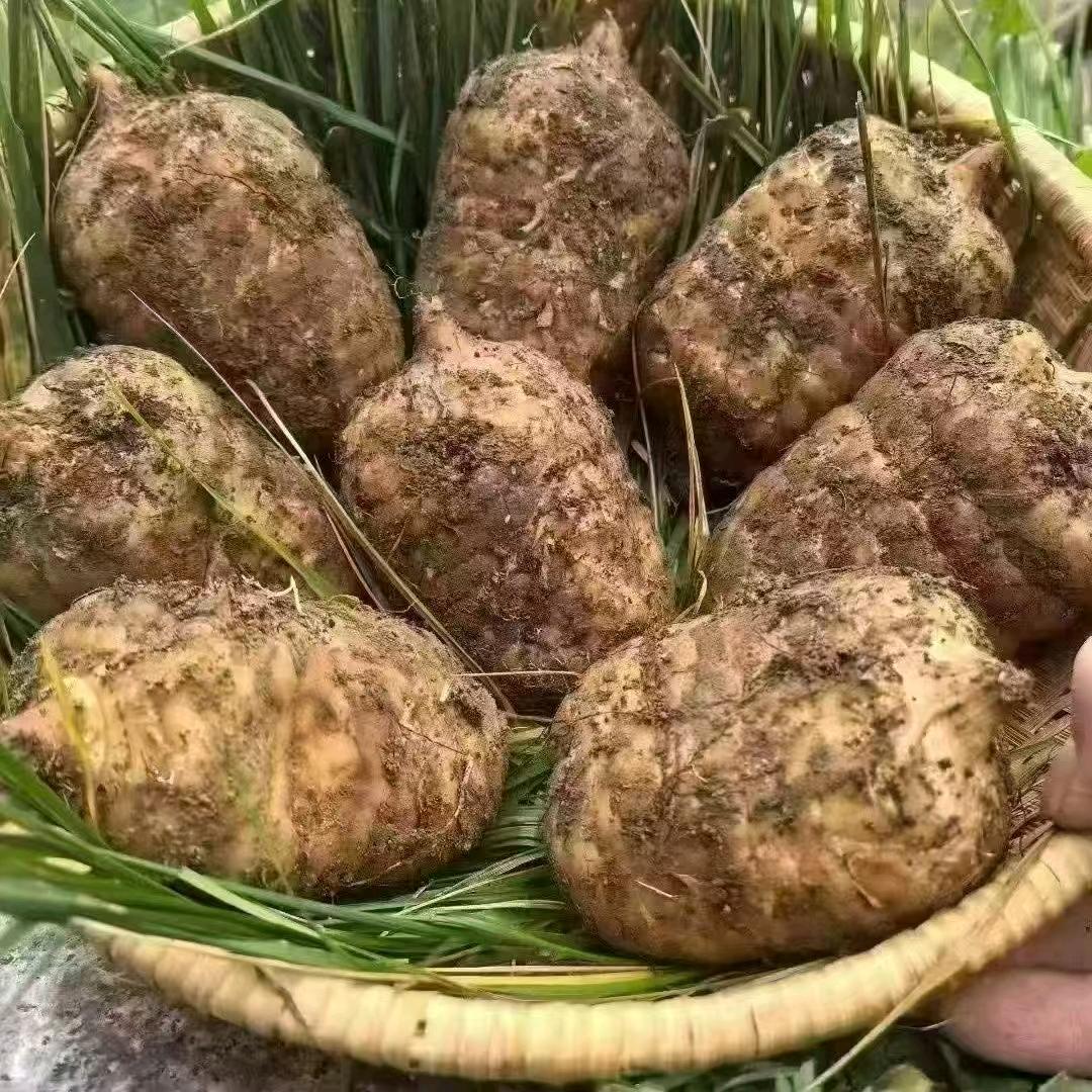 昭阳区谢志莲农户产品