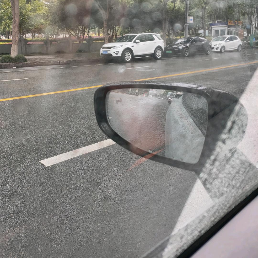 温州网约车司机丧彪哥