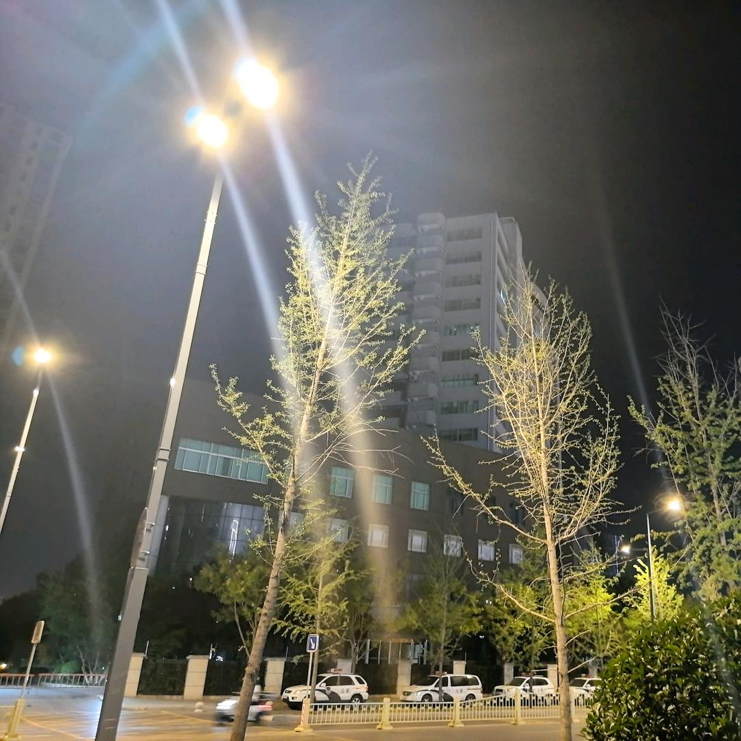 ♡       生椰拿铁！