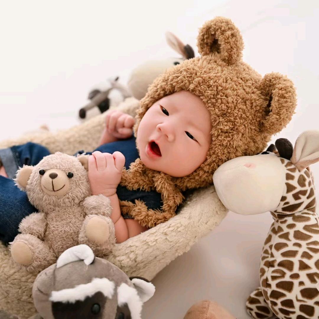 鹿邑菊花苗木农副产品代购售