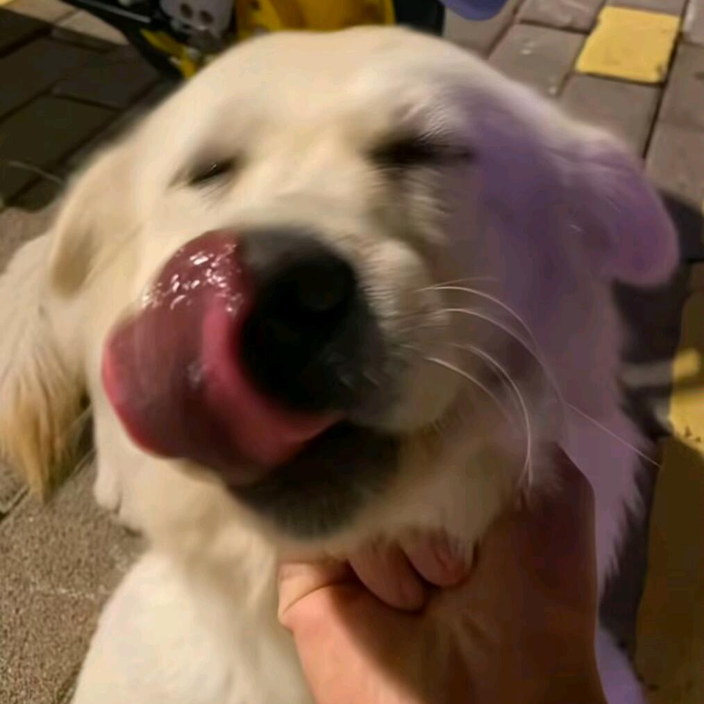 乐事原味薯片