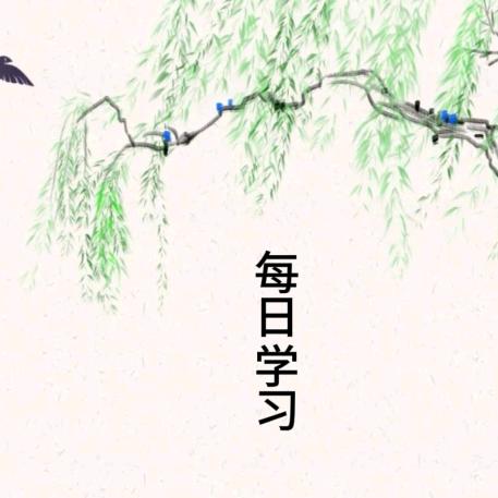 昭昭如愿