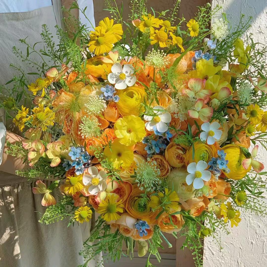 蒋蒋🌼