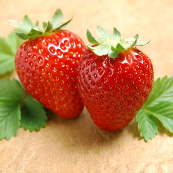 *^o^*愺莓菋^o^