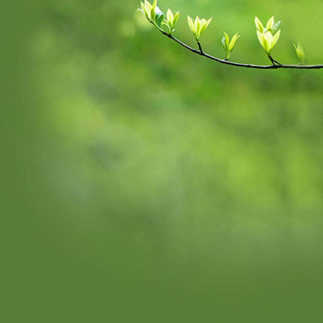 乌拉西说你是烟粑粑