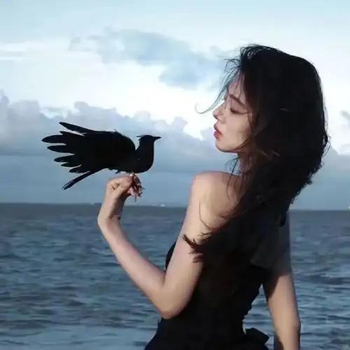 银翔路店asdsahk直播号