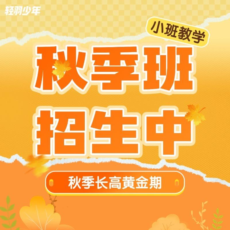达芬奇卓跃儿童（Eisvogel）