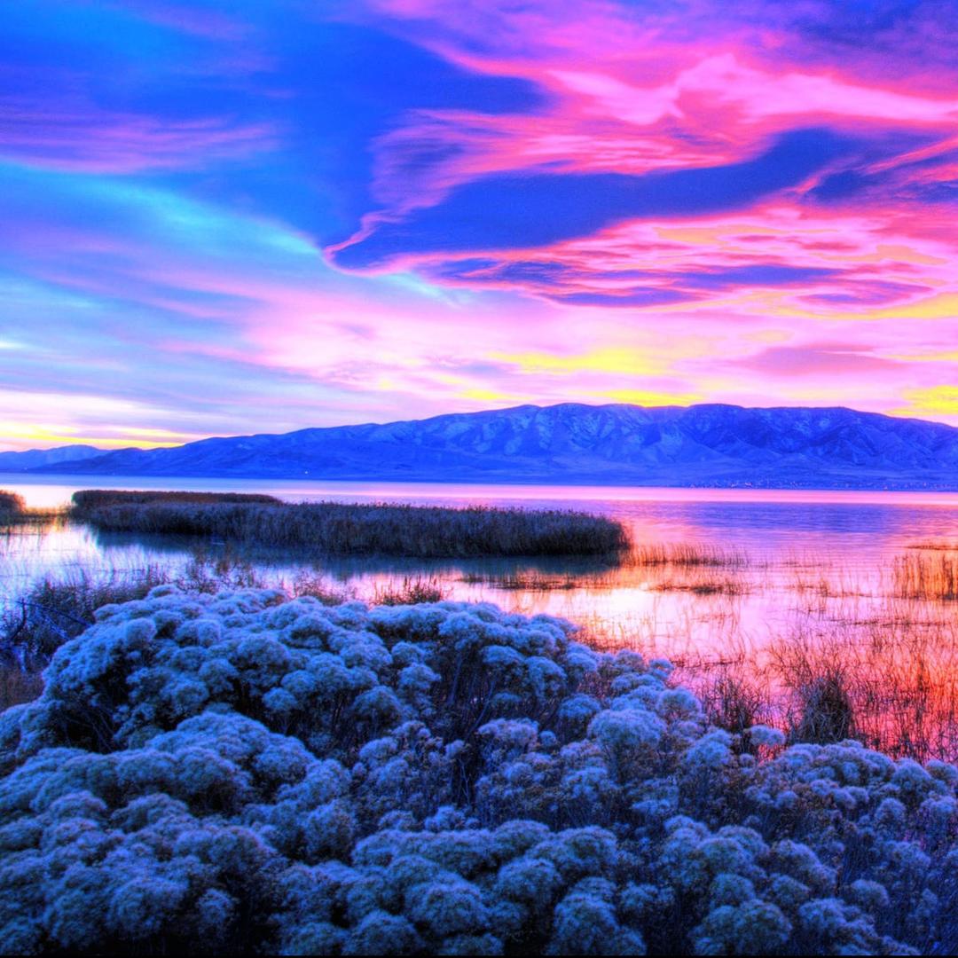 百货超市2直播号