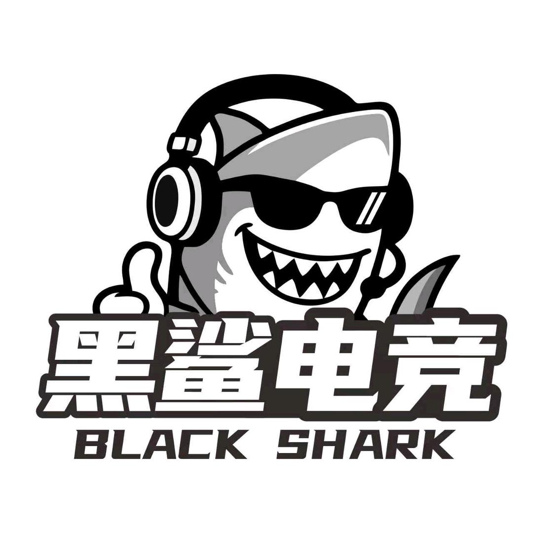 黑鲨电竞
