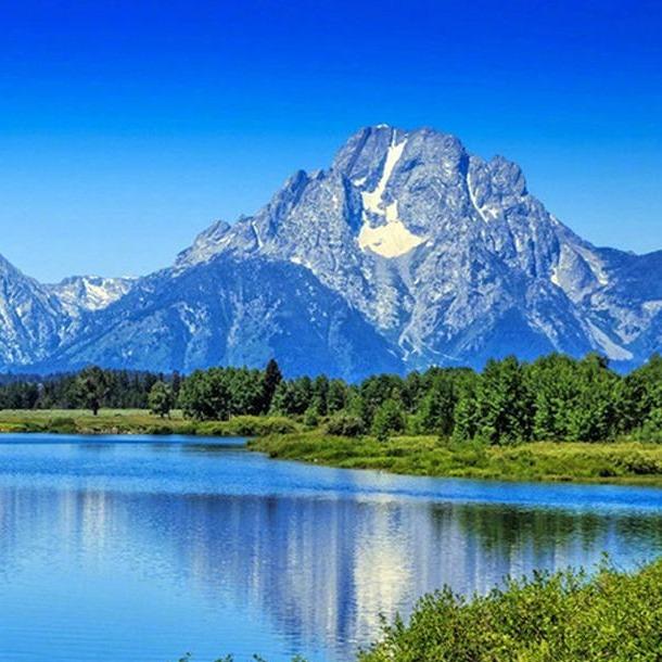 翟珧电子商w的直播号