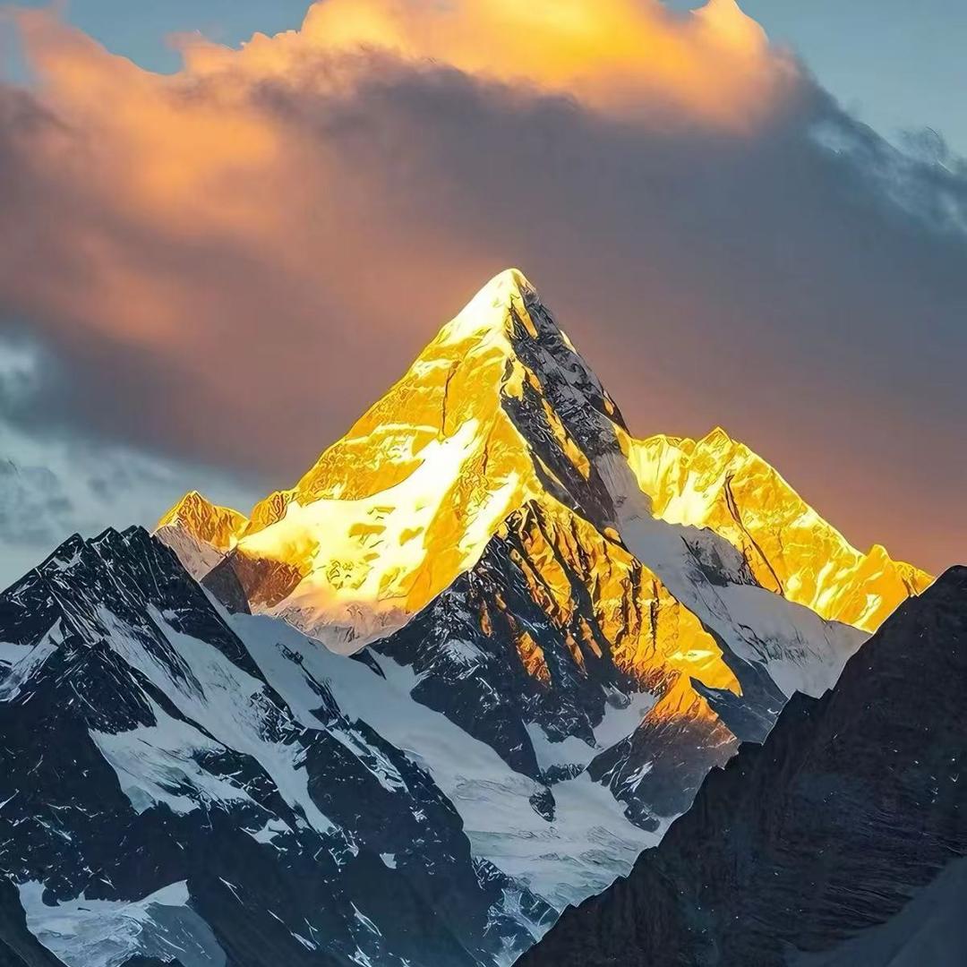 众泰智汇龙飞2官方号