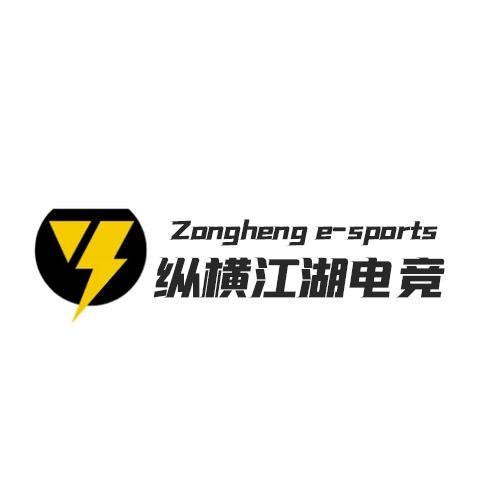 纵横江湖电竞