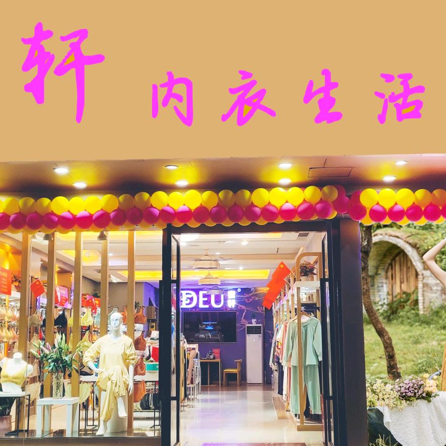 蜜轩苑深圳市蜜轩服饰有限公司内衣专卖店