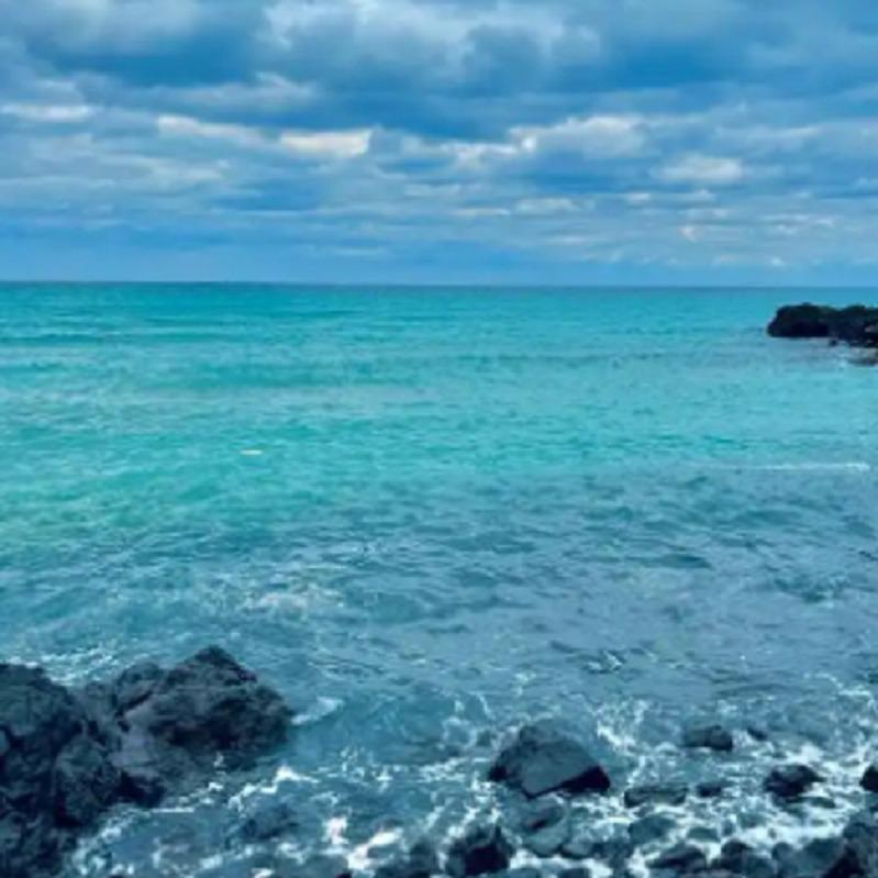 八闽五金经营部话画直播号