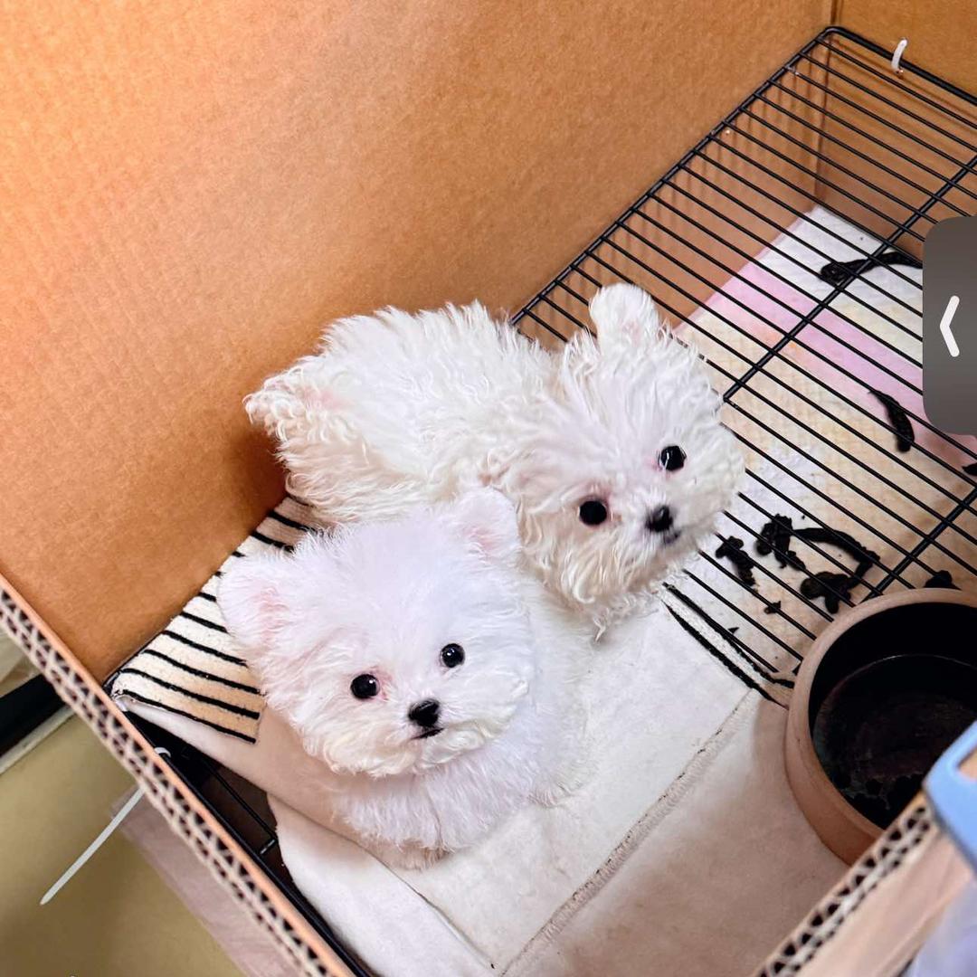 遇见宠物生活馆(旺角店)官方号
