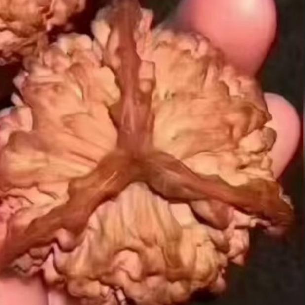 美宜佳束丹商贸门店核对号