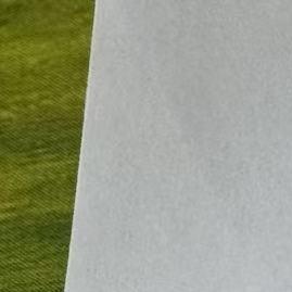 郑总讲互联网直播号